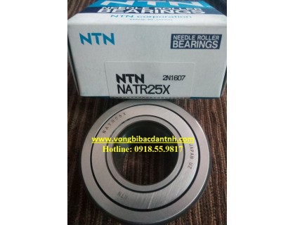 BẠC ĐẠN NATR25X-NATR25-NATR25LL/3AS - NTN